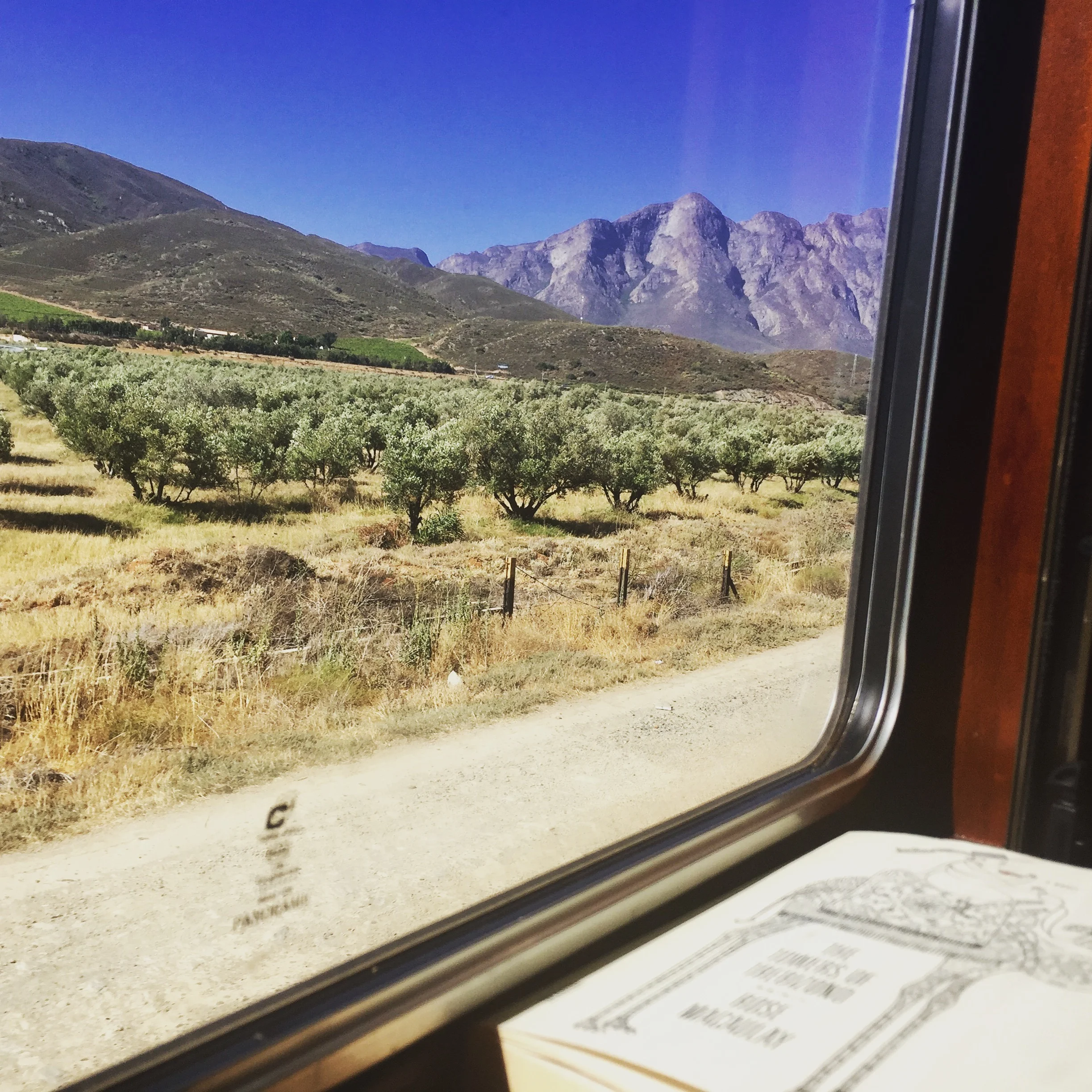 A book and a view and a train. The travel trinity.