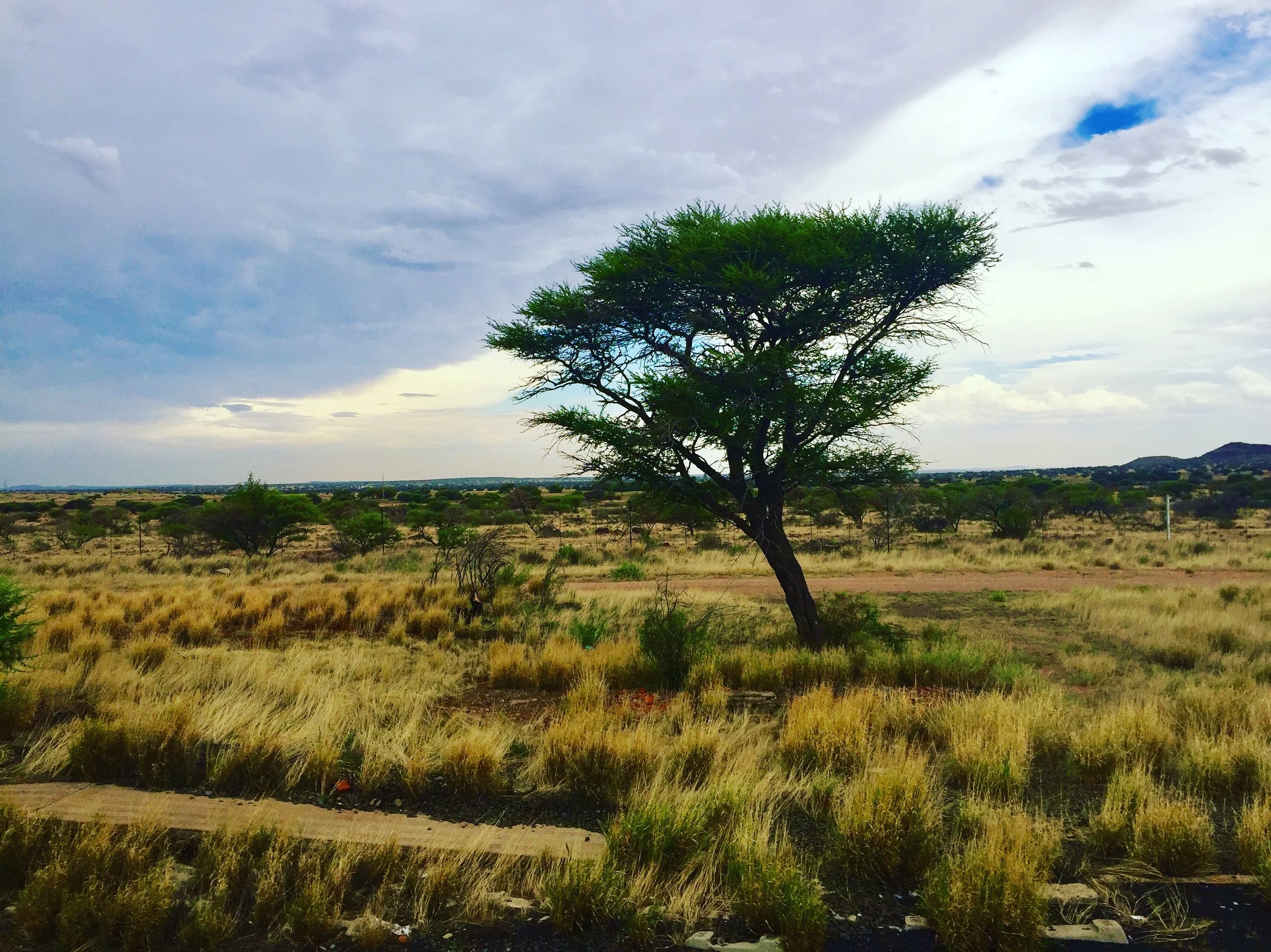 The view, the view, and the view. The Karoo starts to get a bit less dry.