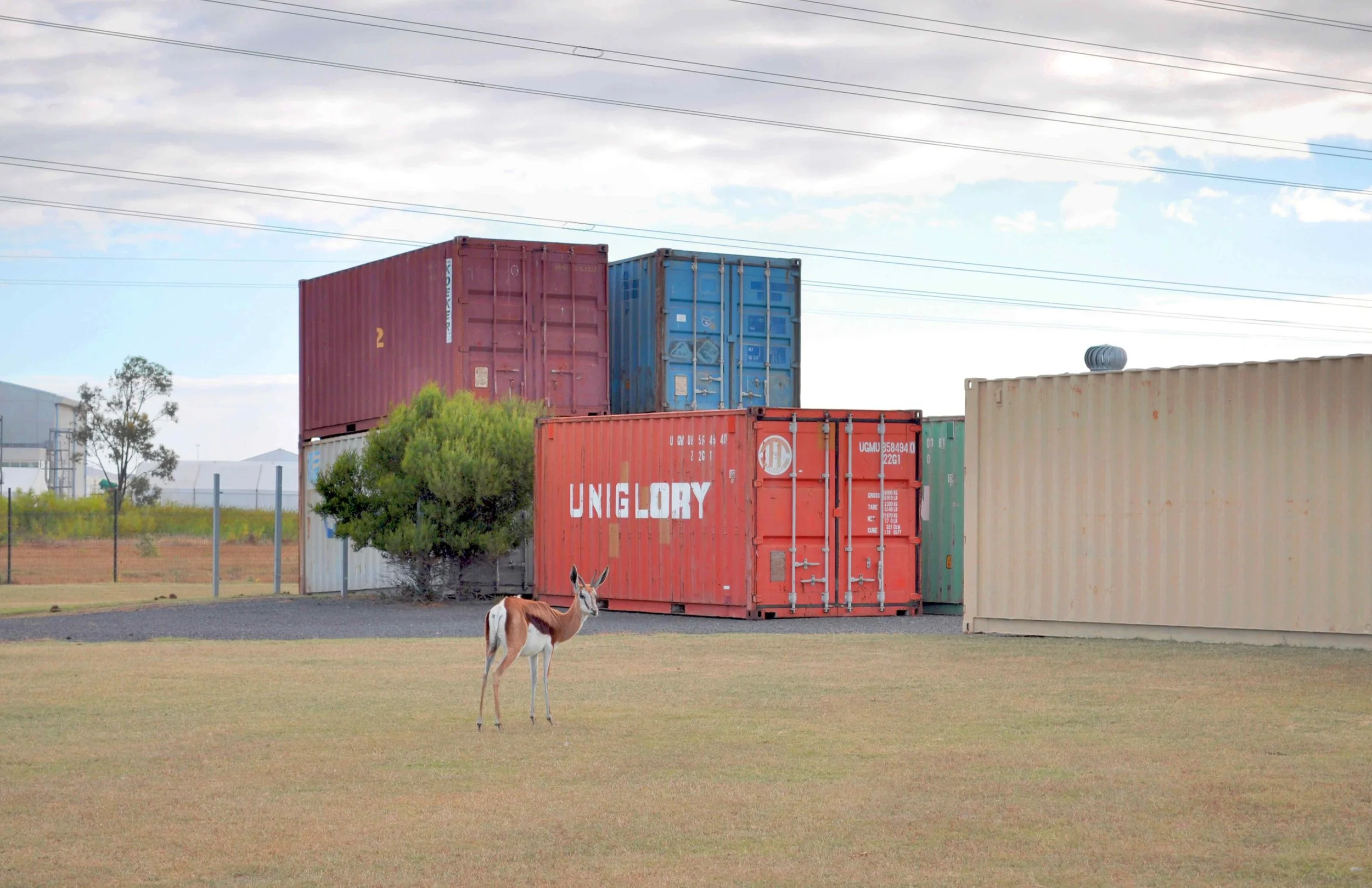 22_korrekt_42 x 59,4 cm including 50 mm border.jpg