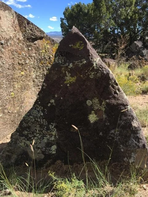 Moss Rock