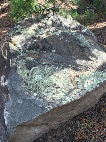 Moss Rock