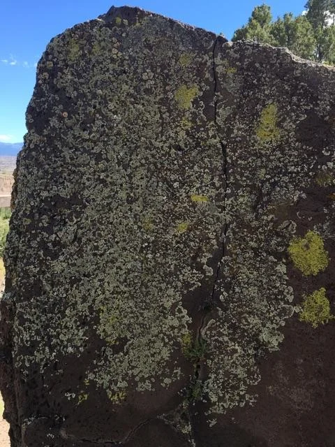 Moss Rock