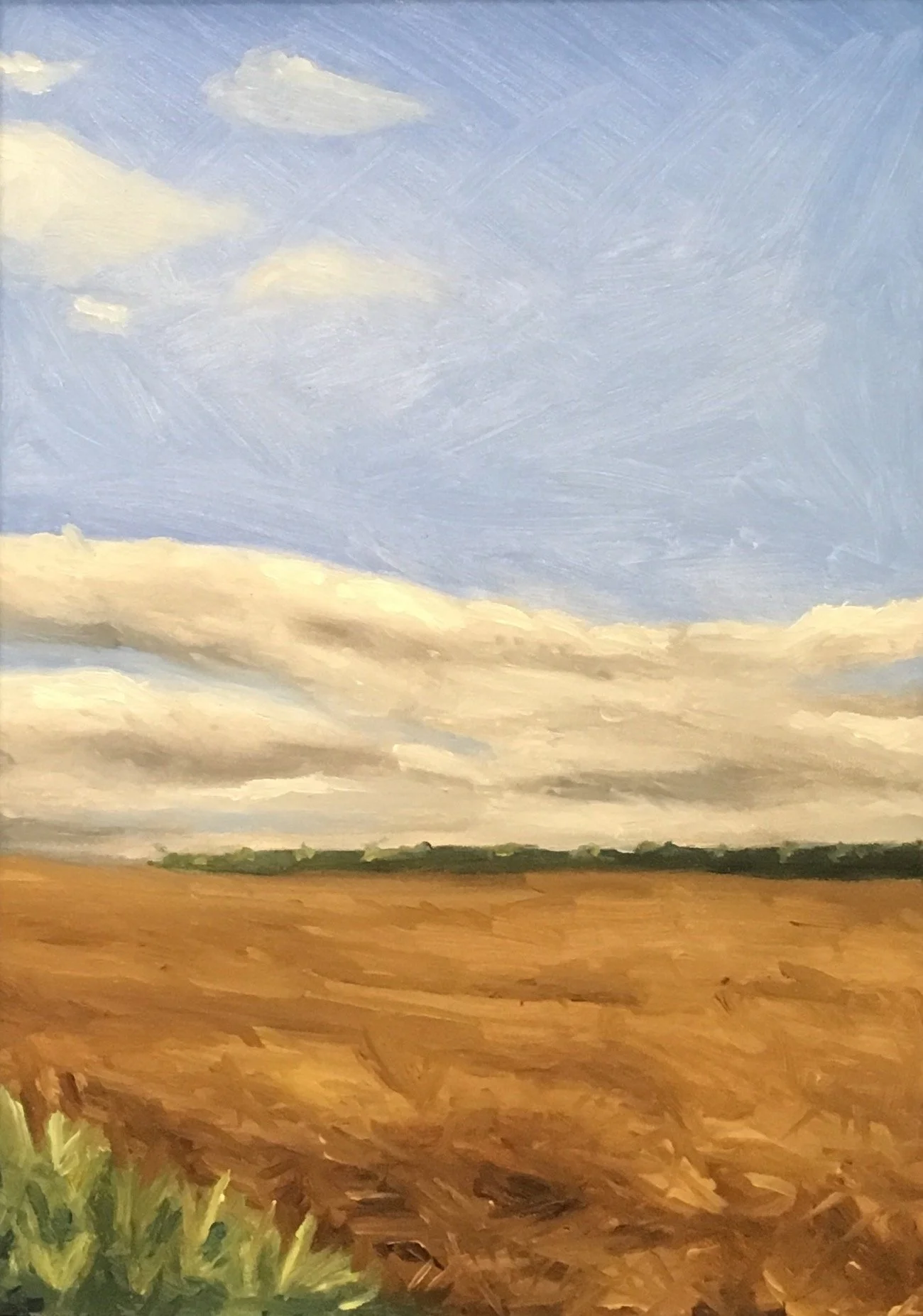 File Sep 02, 6 27 14 AM.jpeg