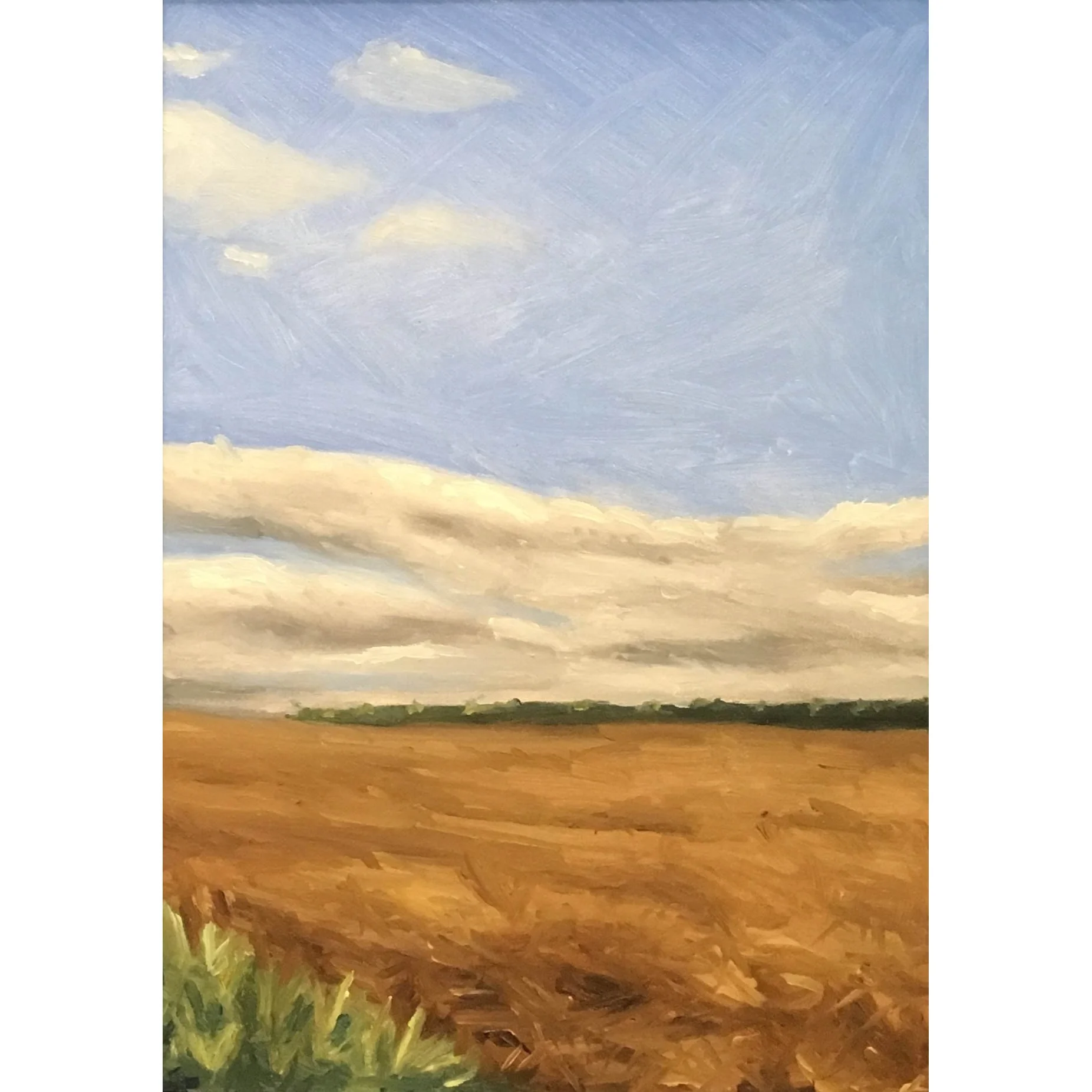 Early Season square.jpeg