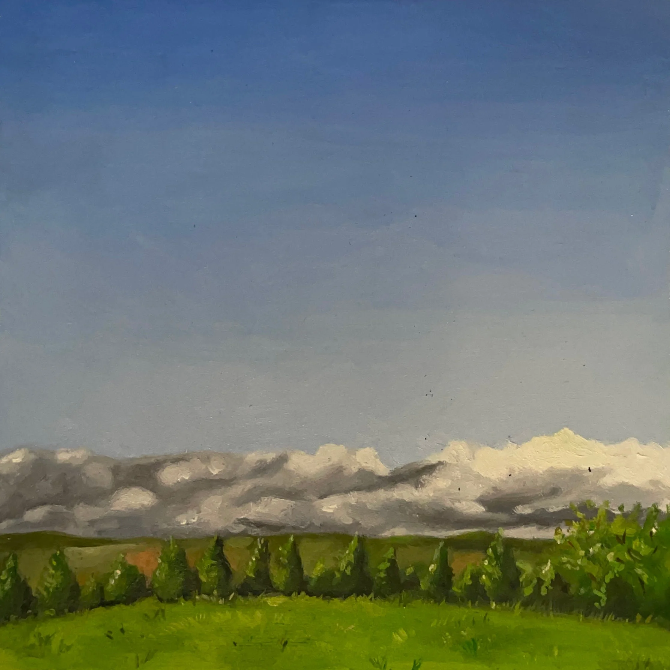  Untitled 6 x 6 inches Oil on Board 2023 