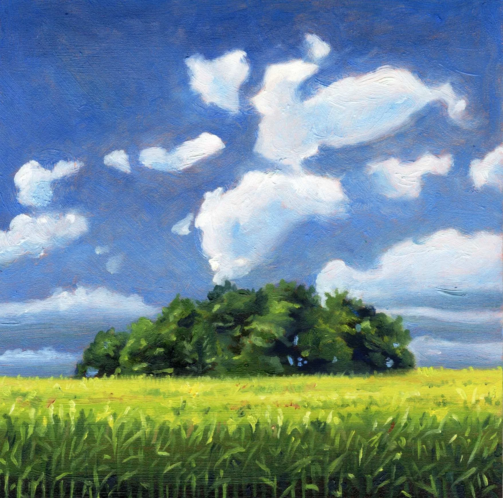 Meadow Song