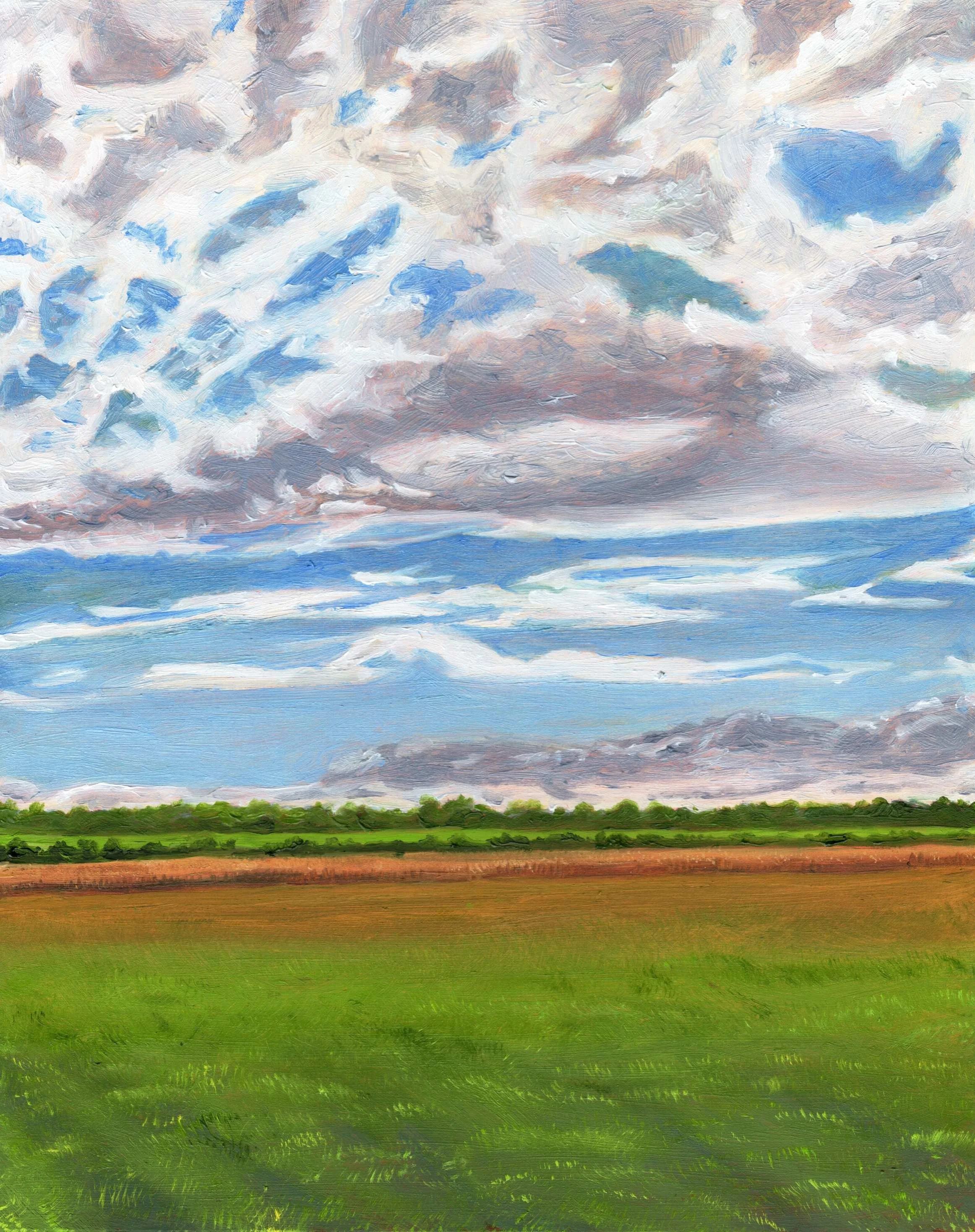 Quiet_Green_Expanse.jpg