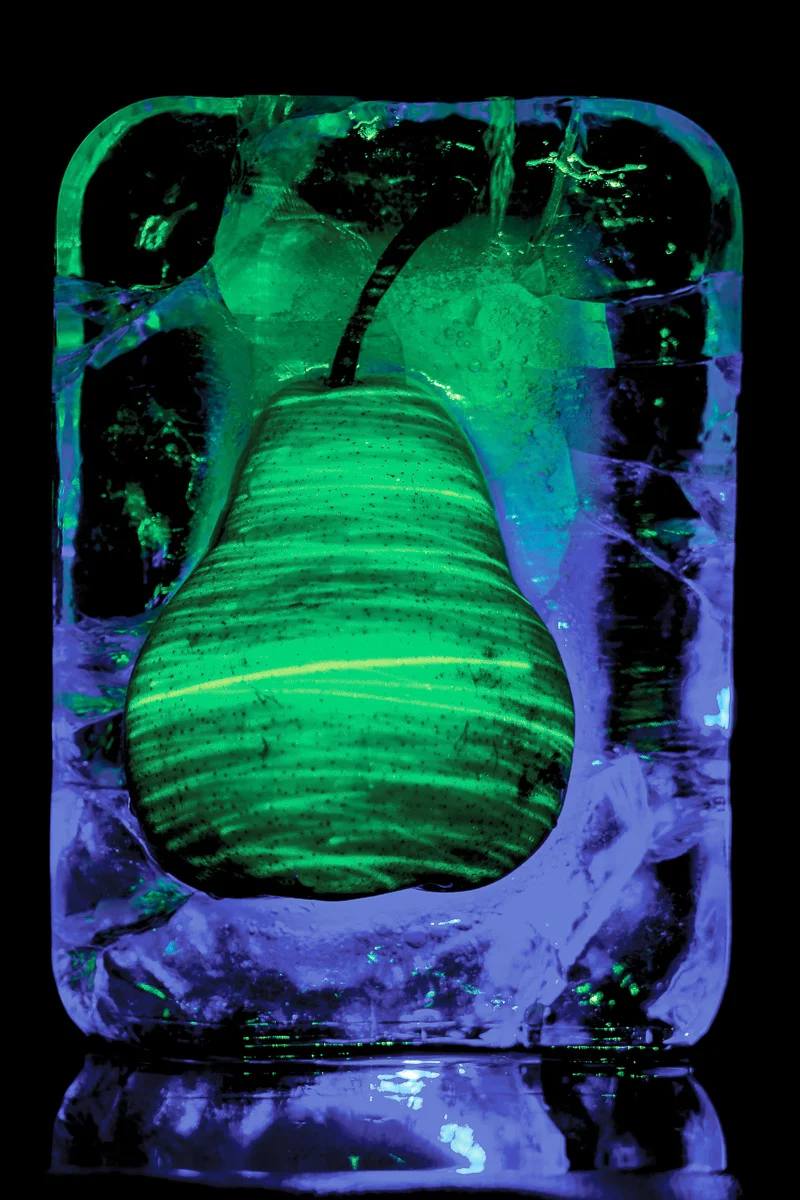 Illuminated flora, Quasi luminous series, Pyrus communis VI