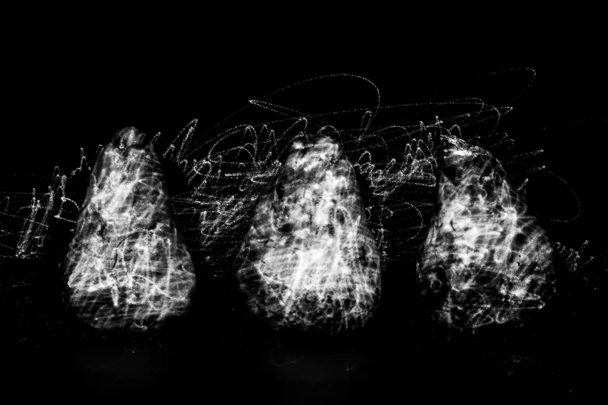 Illuminated flora, Hetero luminous series, Pyrus communis IV