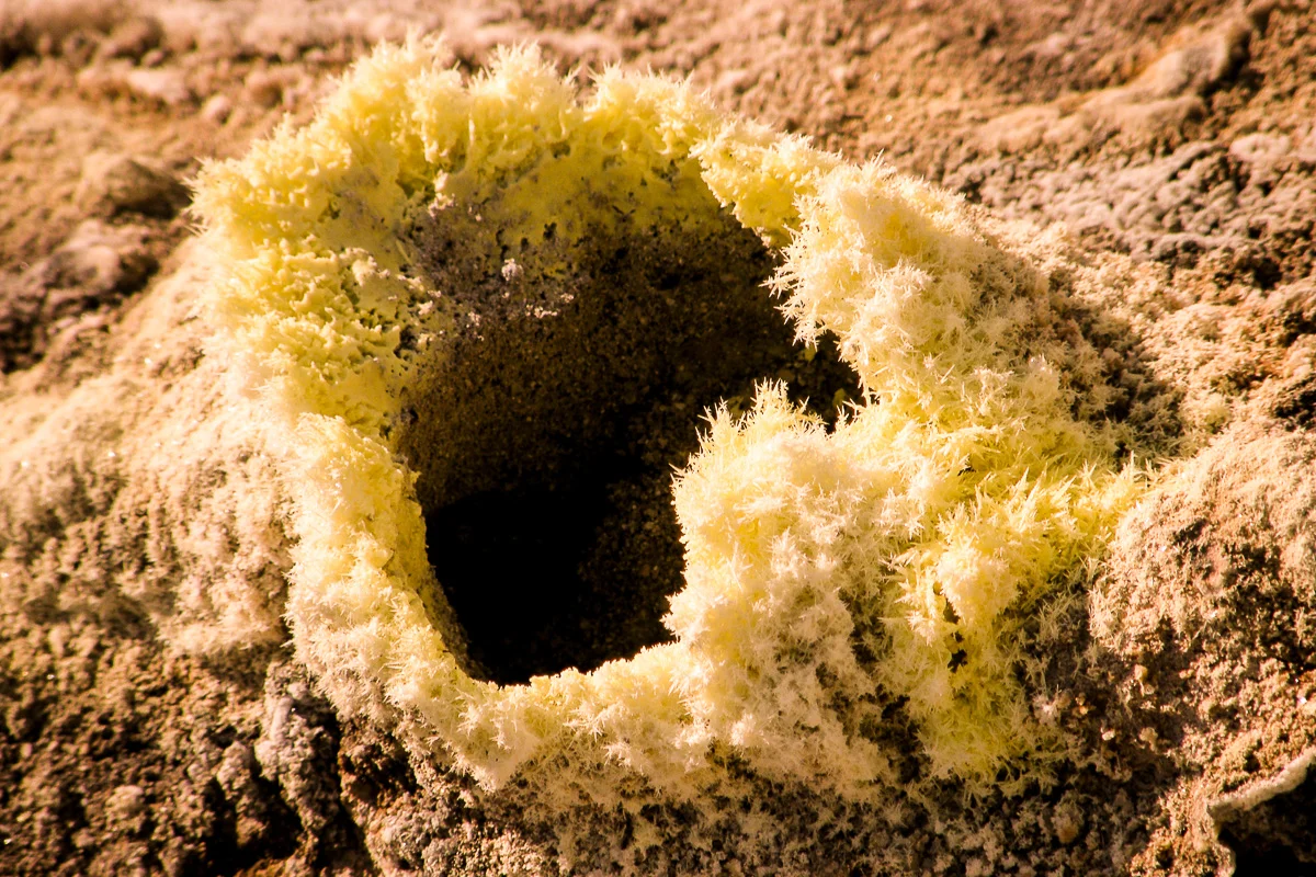 Abiogenesis