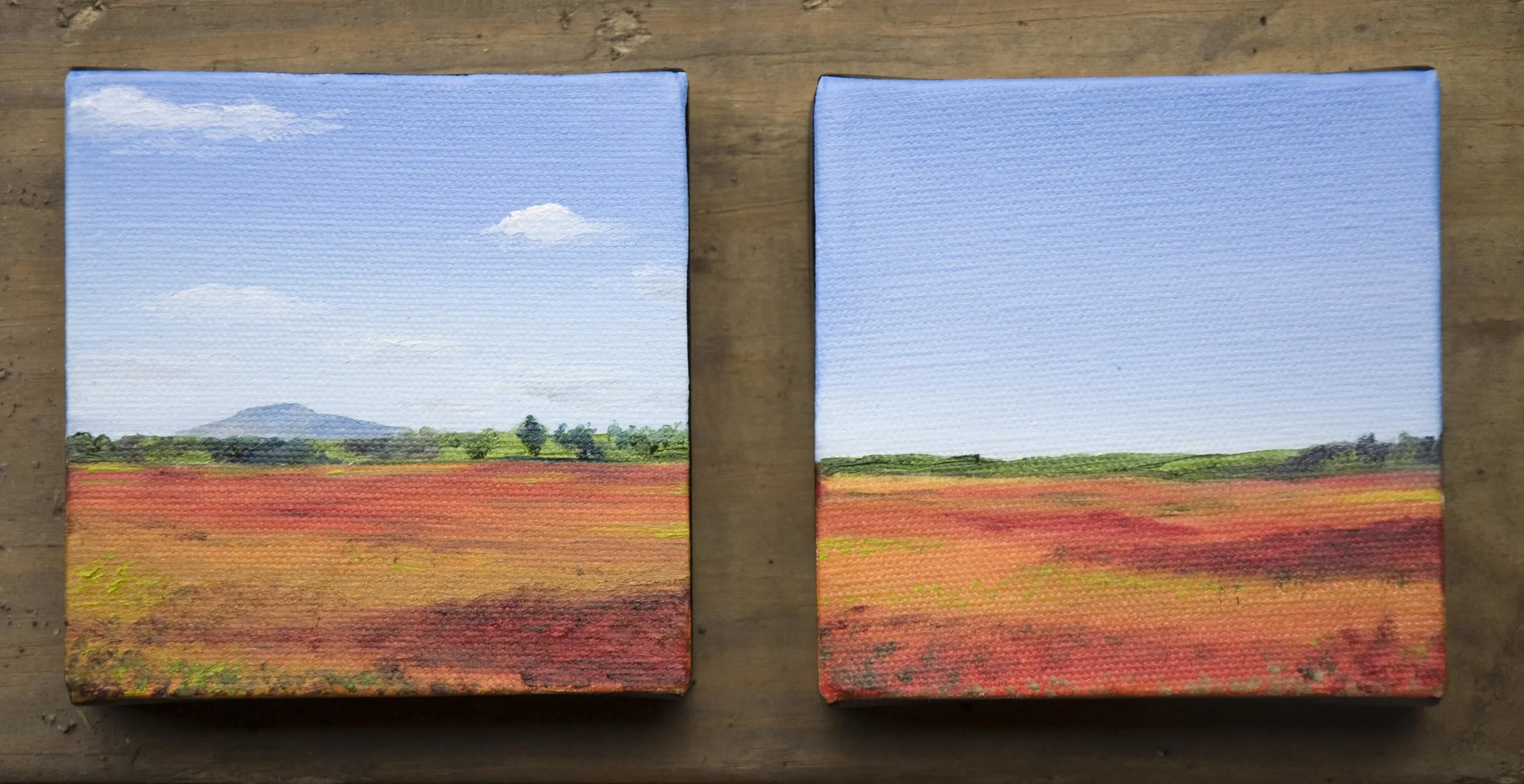 Barrens