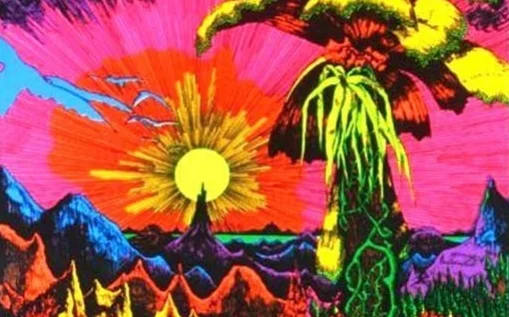 BLACKLIGHT2.jpg
