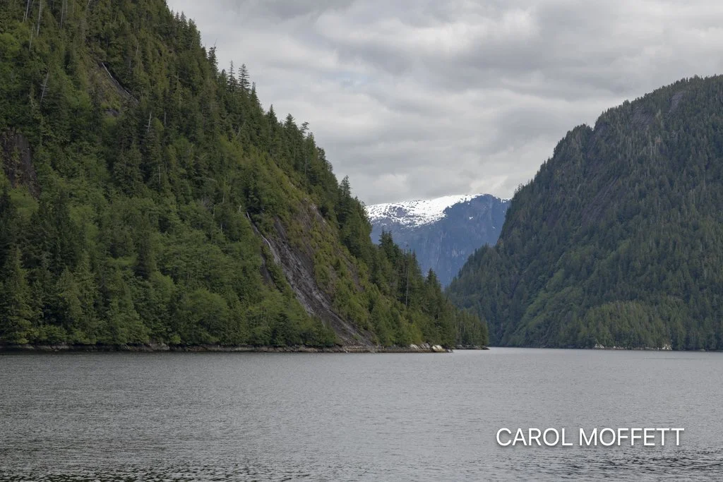 Misty Fjord.jpg