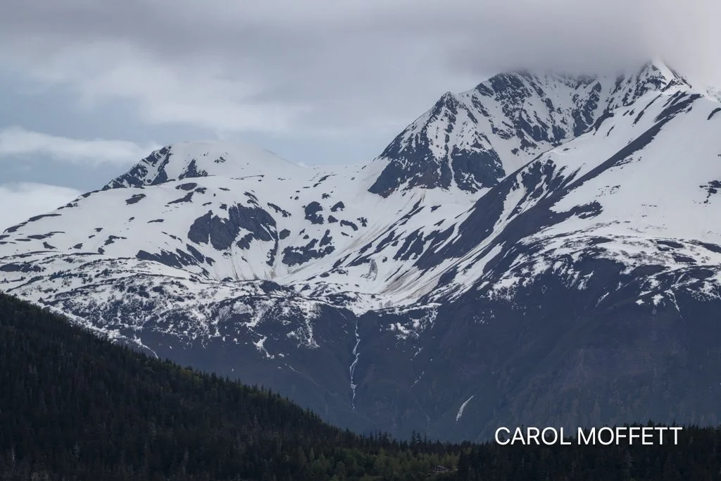 Icy Strait Point 2.jpg