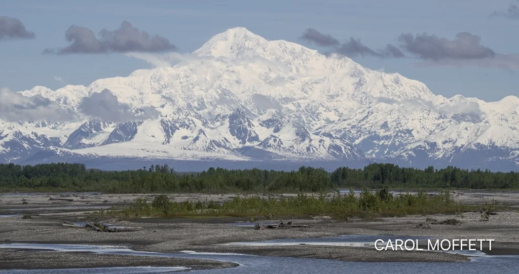 Denali 2.jpg