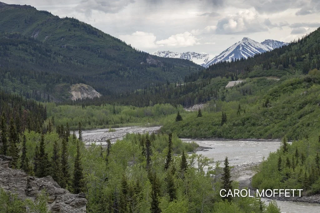Train ride from Denali to Fairbanks.jpg