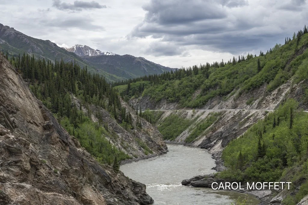 Train ride from Denali to Fairbanks 3.jpg