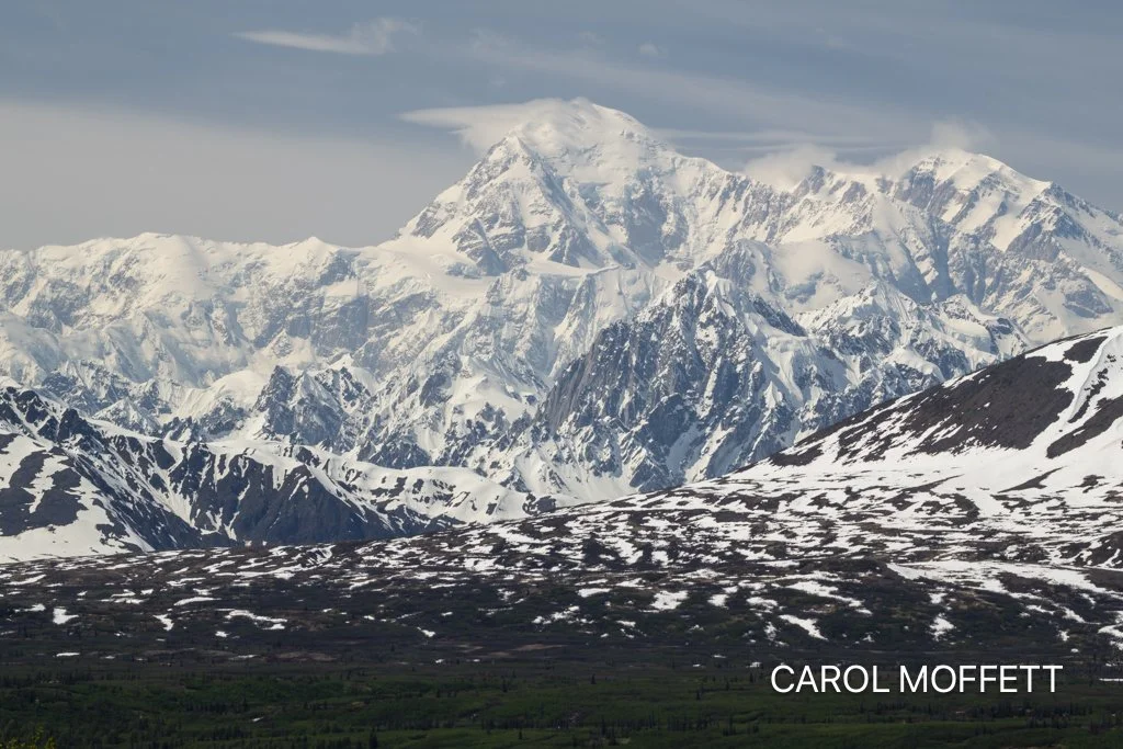 Denali from Hwy.jpg