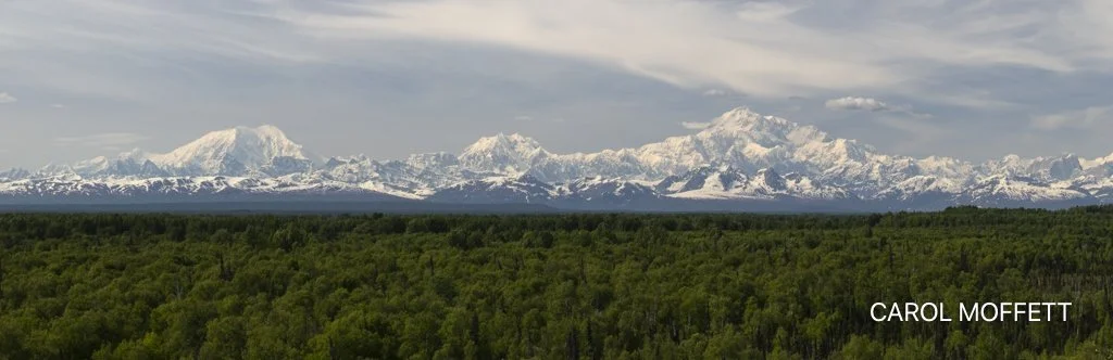 Denali Range.jpg
