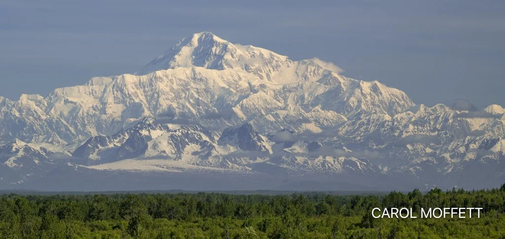 Denali View.jpg