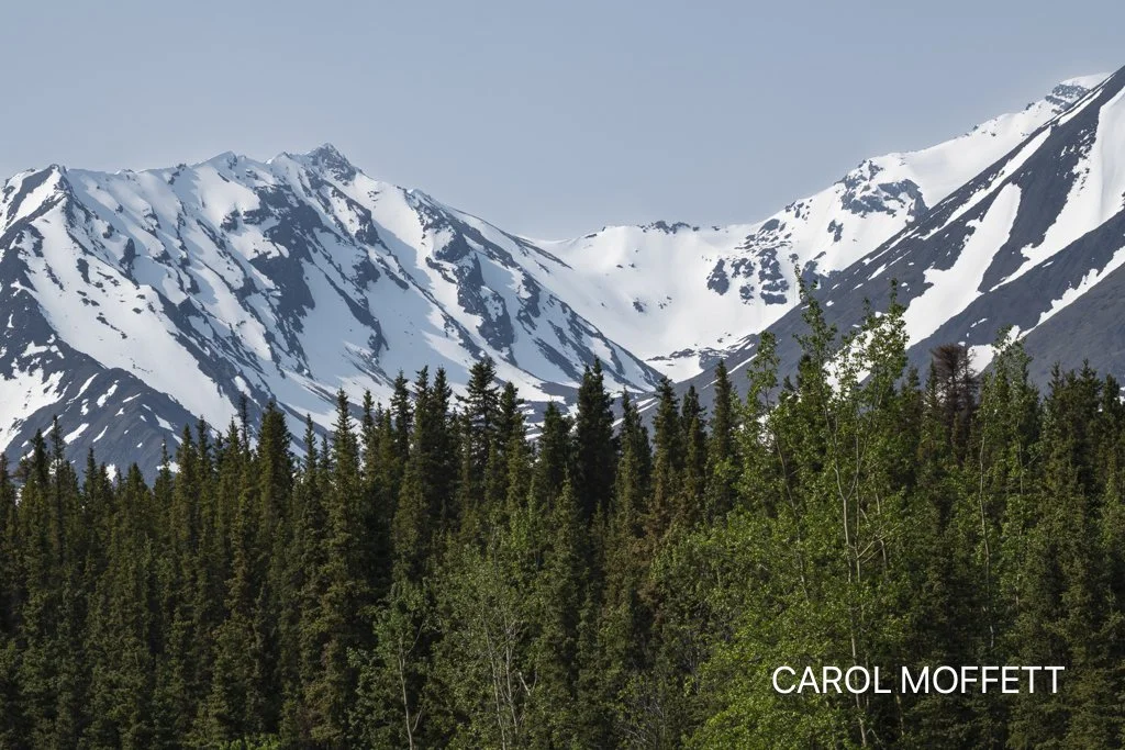 Mountain view from Fairbanks Hwy.jpg