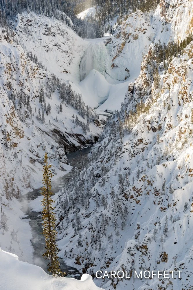 Yellowstone_Grand_Canyon_2.jpg