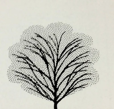 Dogwood Milkyway Growth Habit