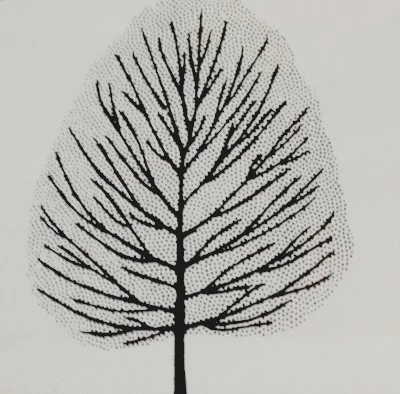 Maple Autumn Blaze Growth Habit
