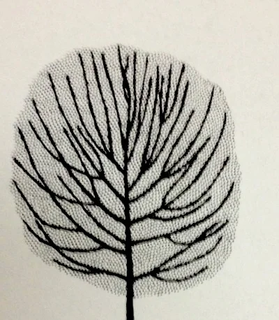 Maple Green Mountain Sugar Growth Habit