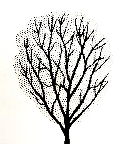 Maple Paperbark Single Stem Growth Habit