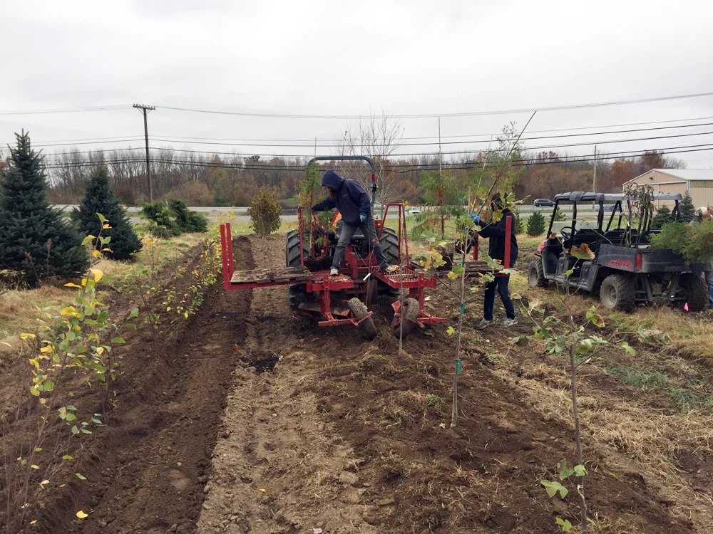 Planting Tree Nursery.jpg