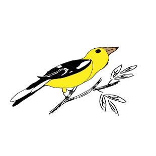 &nbsp; &nbsp; &nbsp; &nbsp; &nbsp; &nbsp; &nbsp; &nbsp; &nbsp; &nbsp; &nbsp; &nbsp;TREES THAT INCREASE WILDLIFE