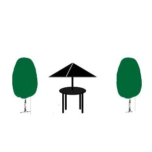 SMALL PATIO TREES LESS THAN 15' 
