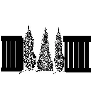 &nbsp; &nbsp; &nbsp; &nbsp; &nbsp; &nbsp; &nbsp; &nbsp; &nbsp; &nbsp; &nbsp;PRIVACY EVERGREENS TREES