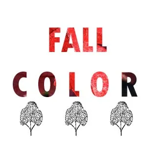  FALL COLOR TREES 