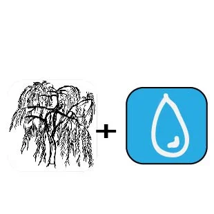 &nbsp; &nbsp; &nbsp; &nbsp; &nbsp; &nbsp; &nbsp; &nbsp; &nbsp; &nbsp; &nbsp; &nbsp; &nbsp; &nbsp; &nbsp; &nbsp; &nbsp;TREES FOR WET AREAS