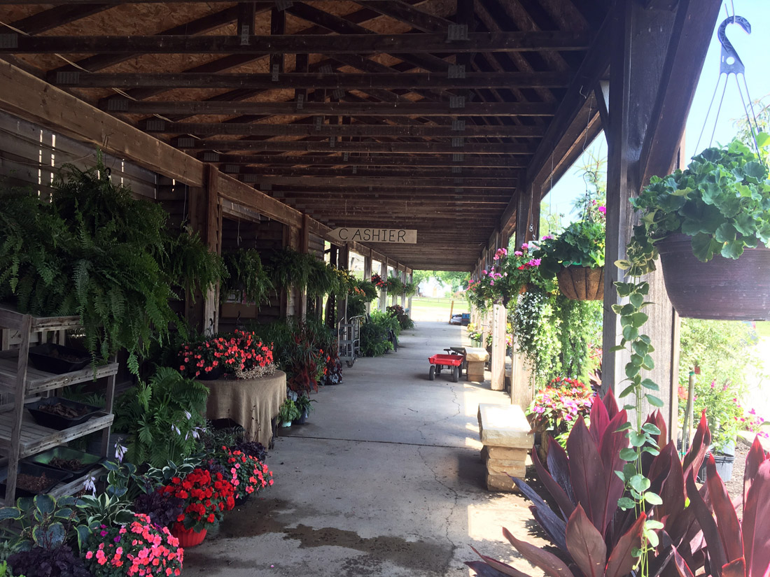 GardenCenterDisplays.jpg