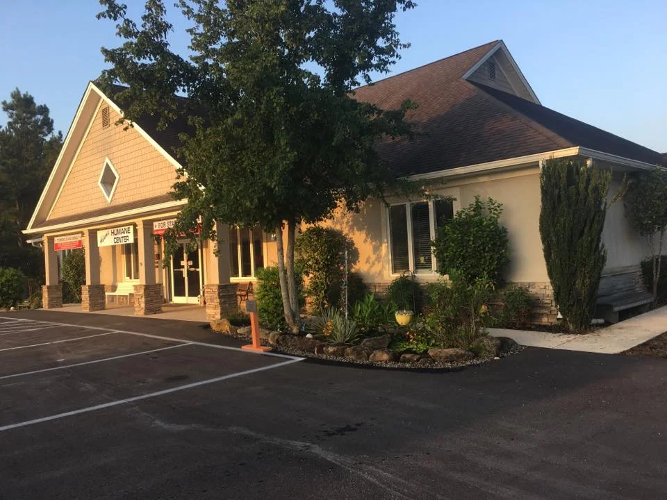 The shelter has been through many changes since it's doors first opened. Just in the last year, we were able to get the driveway paved, parking stripes added to the parking lot, and new signs around the facility to help protect employees, clients, and pets. 