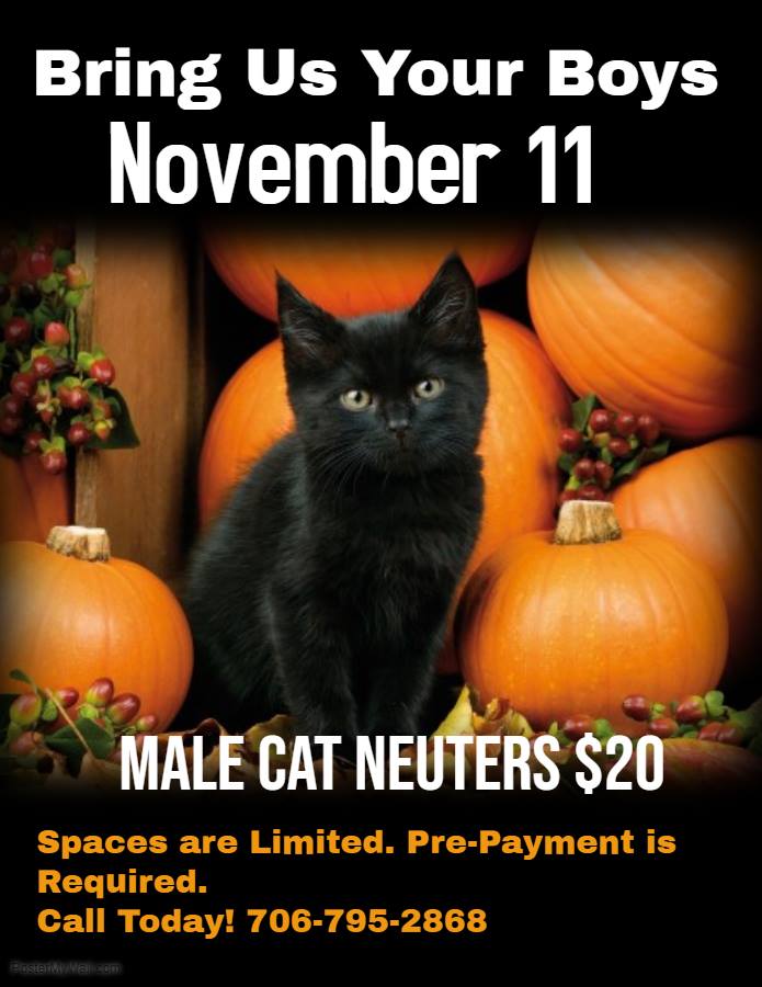 Bring Us Your Boys 11.11.18.jpg