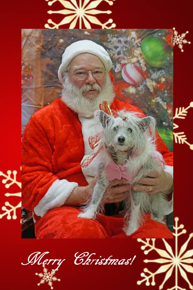 Santa & dog.jpg