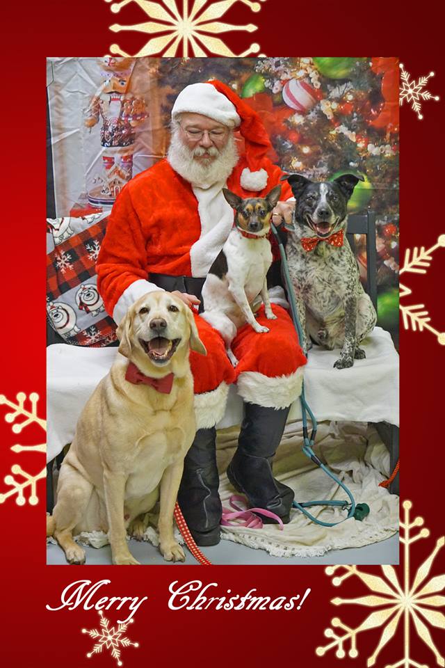 Santa and 3 dogs.jpg