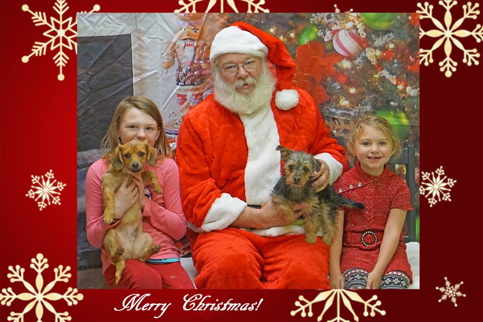 Santa and kids and dogs.jpg