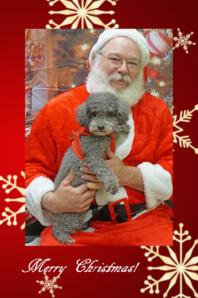 Santa and poodle.jpg