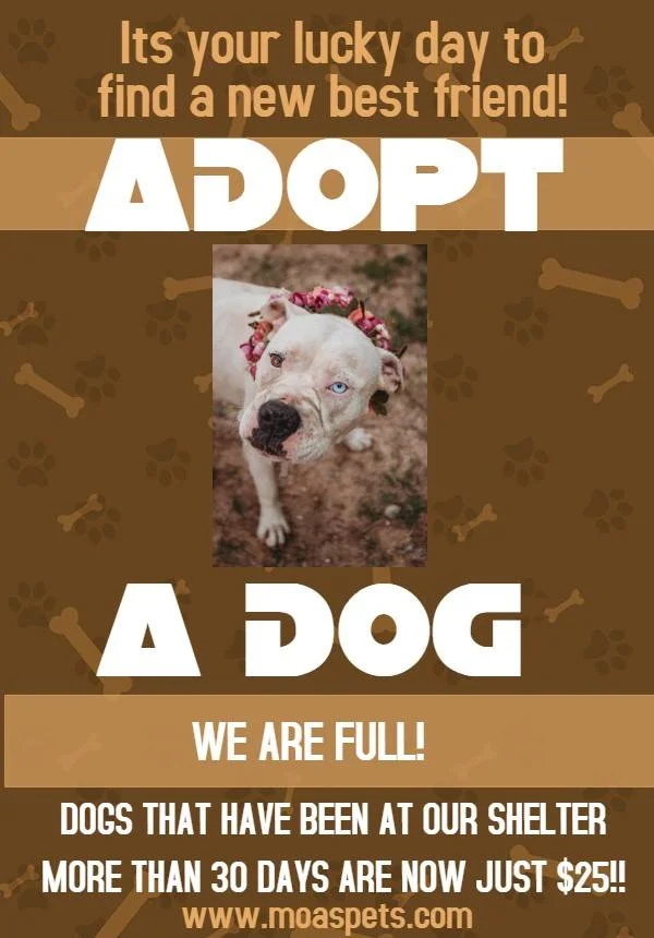 AprilFoolsDogSpecial.jpg
