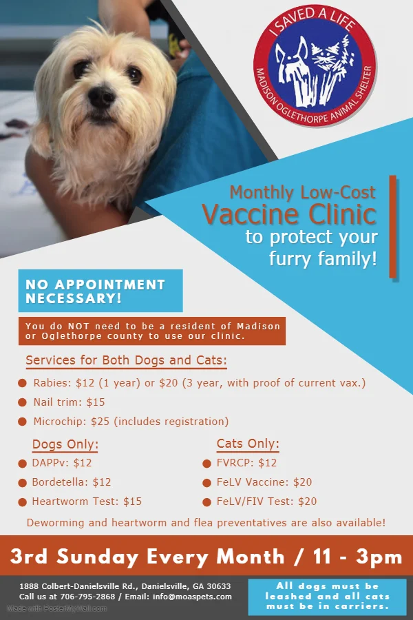 Animal Shelter Microchip Dog Cost Near Me Pet Clinic Best Vet For