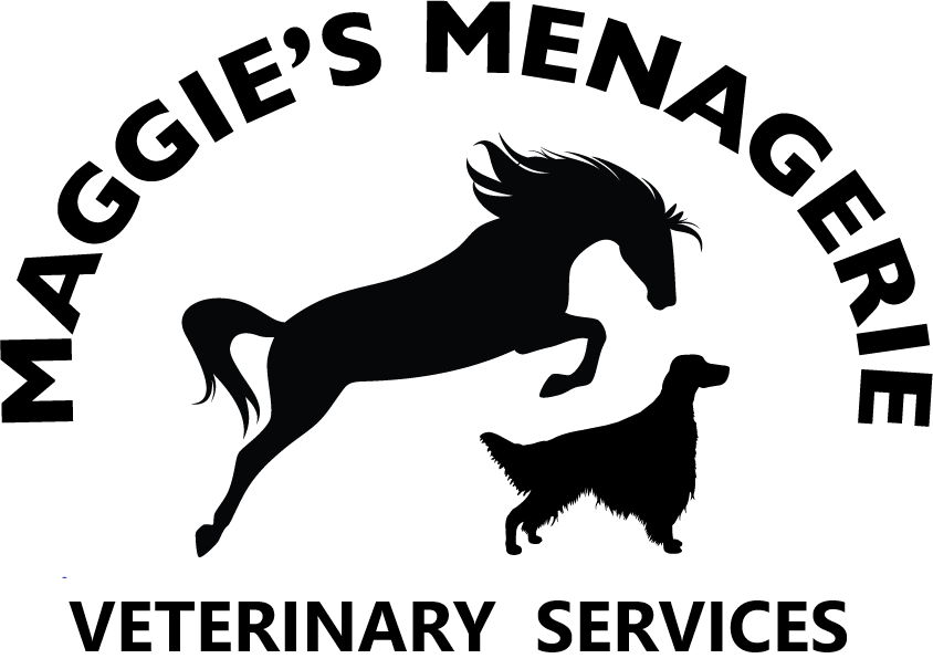 NewLogo-MMVS.png
