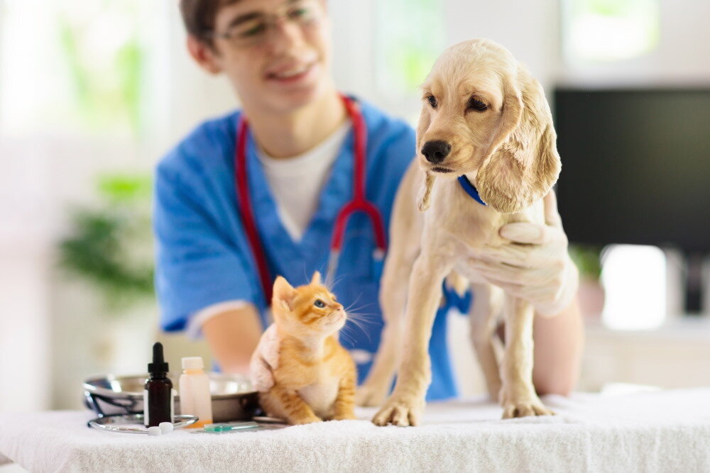 Monthly Vaccine Clinic Moas Pets