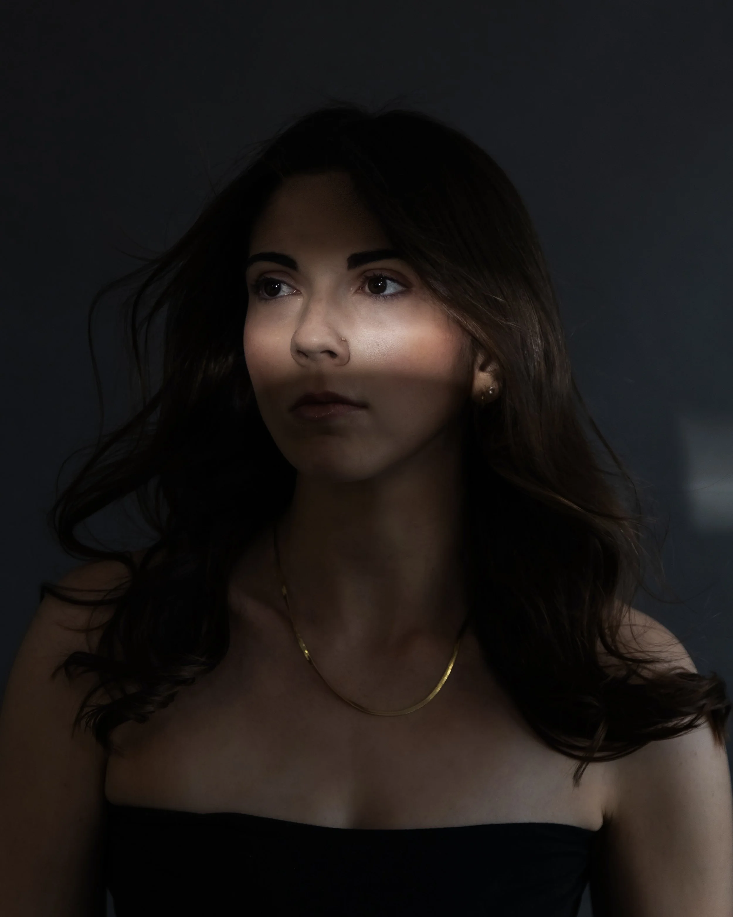 Photophobia Series (2026)