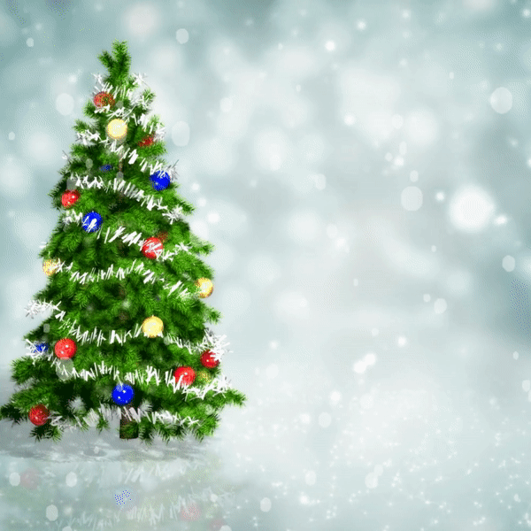 CLOSED: Christmas Day