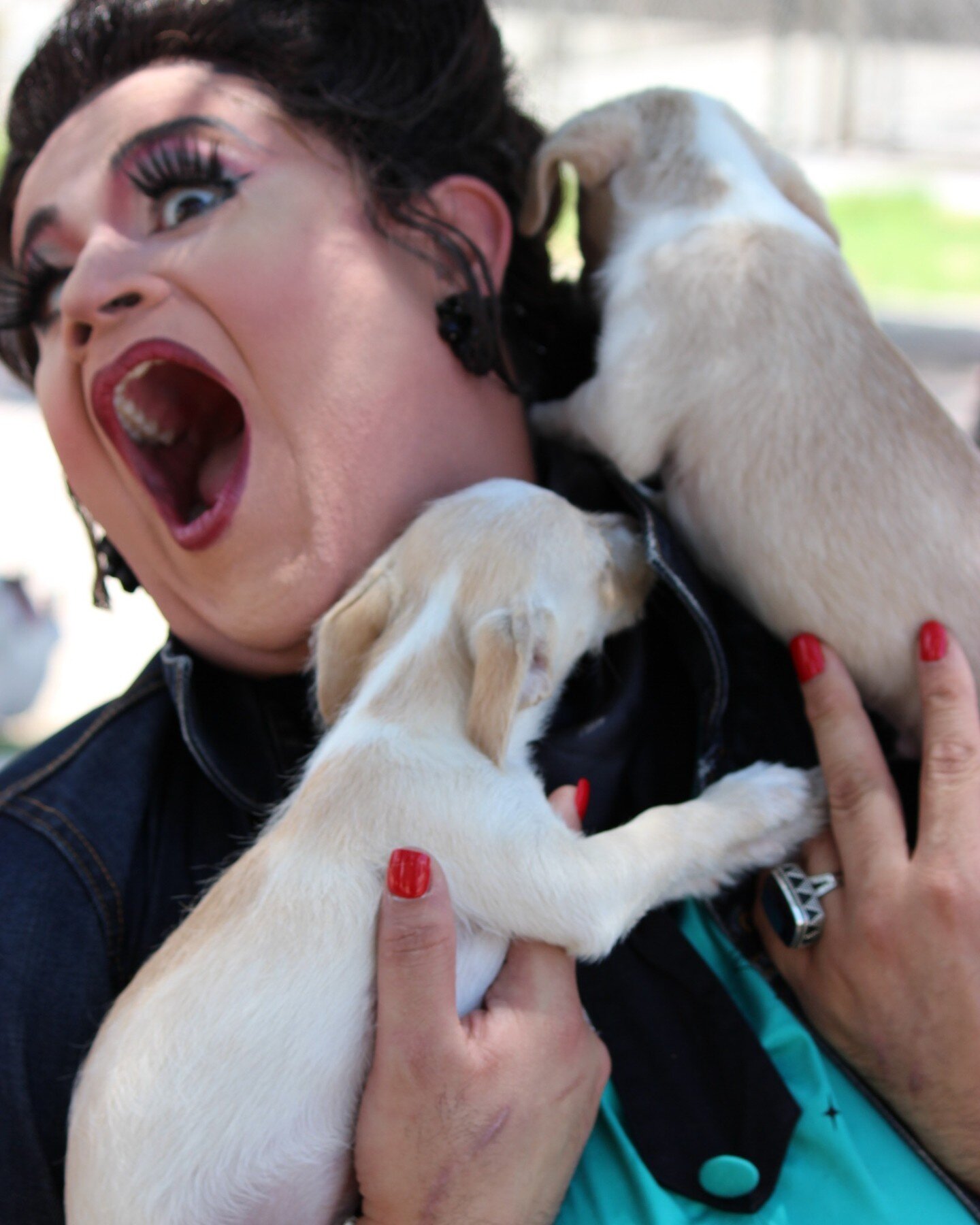 #TBT It's throwback Thursday and how about a pic showing that time our Markets' Manager David AKA Boom Boom was attacked by some adorable puppies at @arlelpaso while on a photoshoot for Barks, Brunch, &amp; Drag Bingo! How many remember this fun even